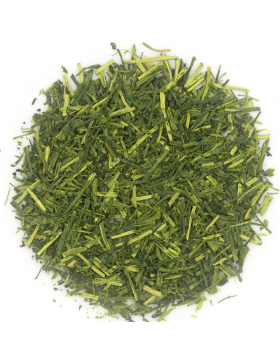 Matcha-Shiraore JUNICHI -...