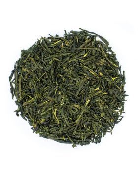 Sencha Kazuya ©Ikkyu