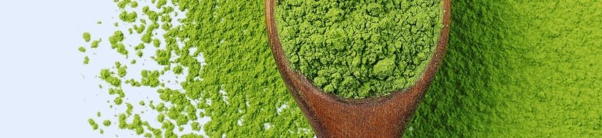 Matcha
